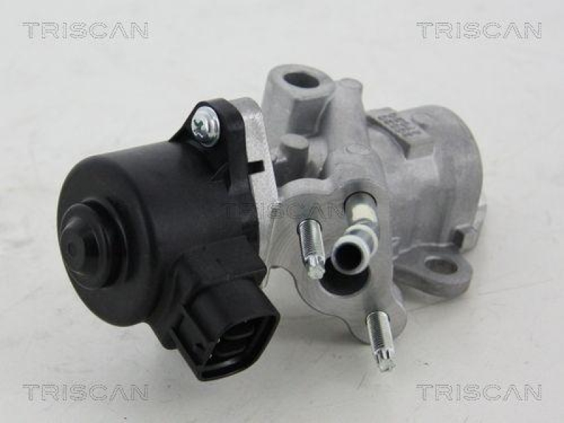 TRISCAN 8813 13025 Agr Ventil für Toyota