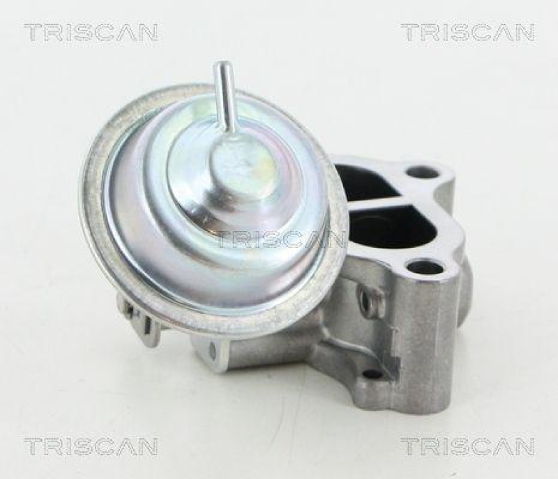 TRISCAN 8813 13065 Agr Ventil für Toyota