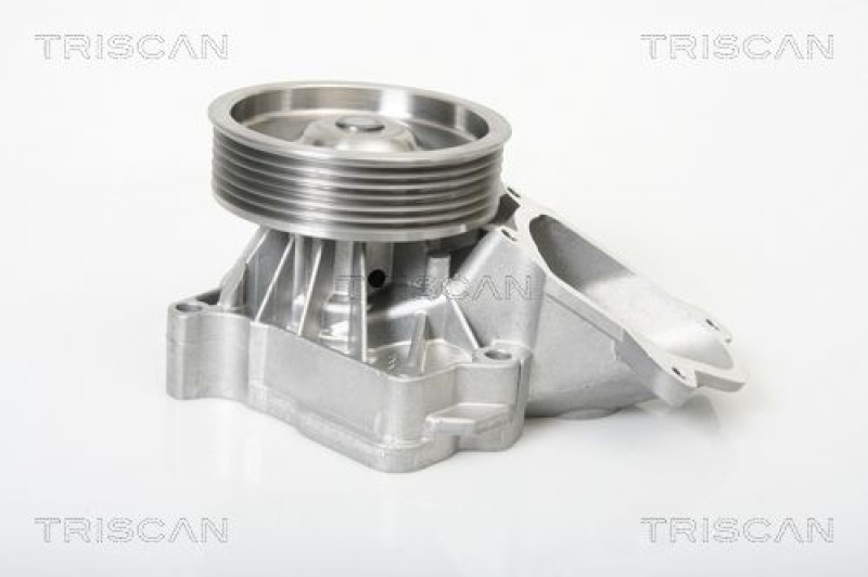 TRISCAN 8600 11014 Wasserpumpe für Bmw