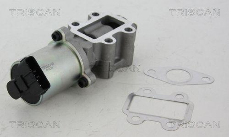 TRISCAN 8813 13102 Agr Ventil für Toyota