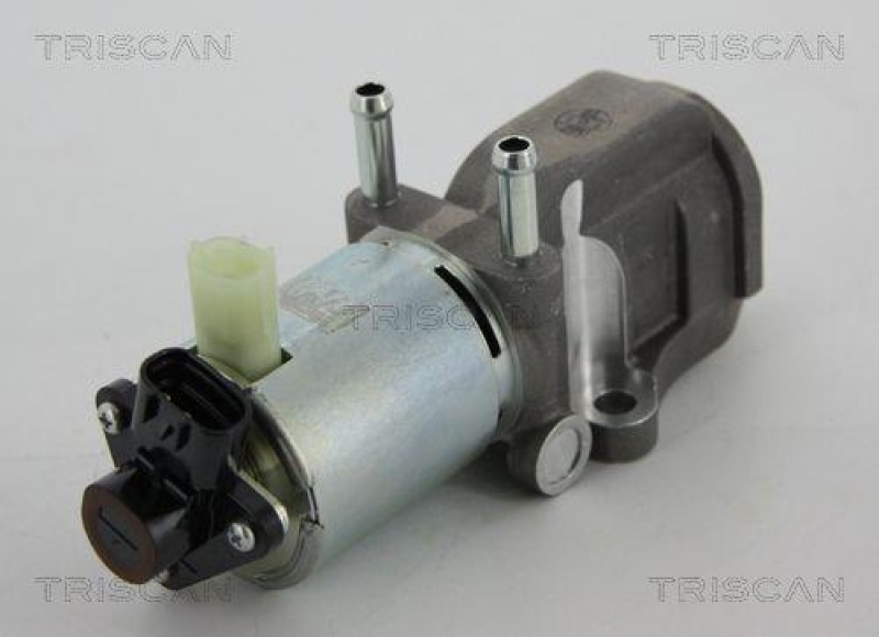 TRISCAN 8813 13202 Agr Ventil für Toyota