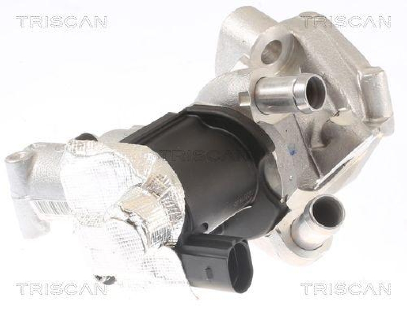 TRISCAN 8813 14006 Agr Ventil für Nissan, Infiniti