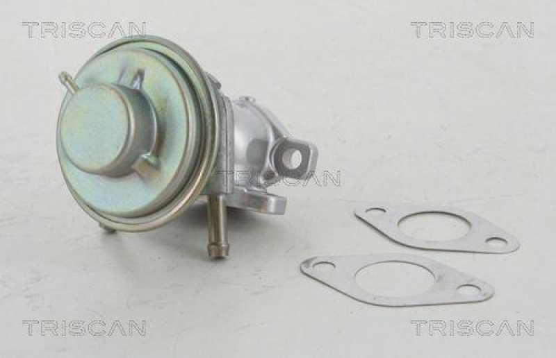 TRISCAN 8813 15029 Agr Ventil für Fiat/Psa