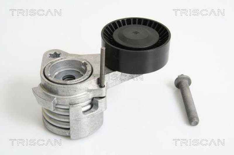 TRISCAN 8641 113027 Riemenspanneinheit für Bmw