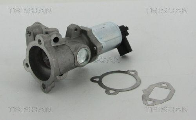 TRISCAN 8813 15052 Agr Ventil für Fiat/Psa