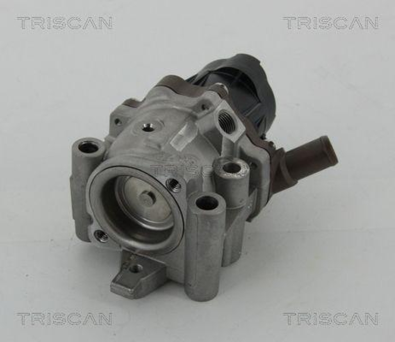 TRISCAN 8813 15208 Agr Ventil für Fiat