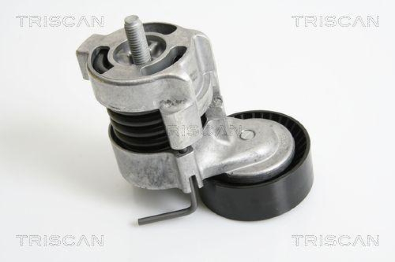 TRISCAN 8641 113029 Riemenspanneinheit für Bmw