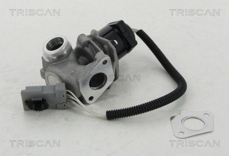 TRISCAN 8813 16008 Agr Ventil für Ford/Volvo/Mazda