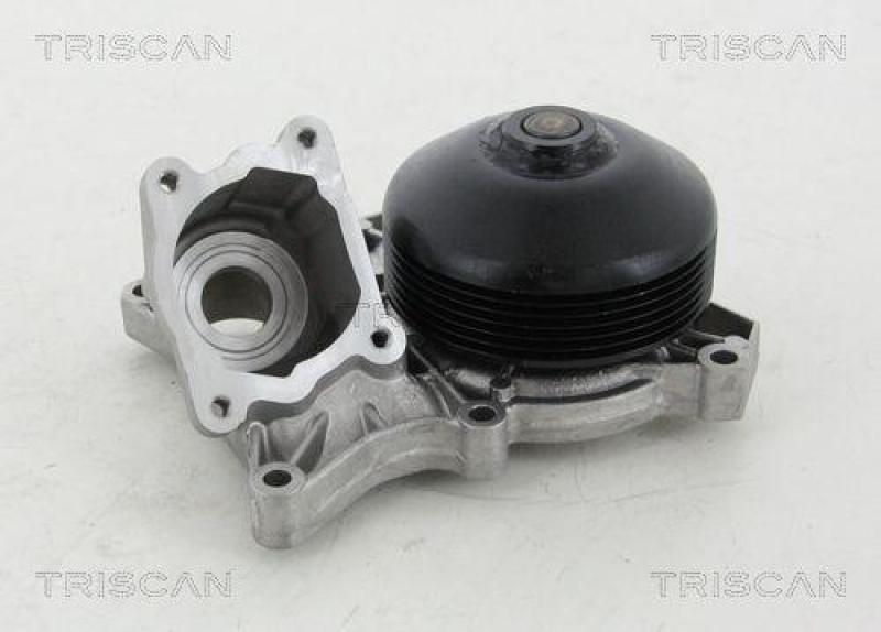 TRISCAN 8600 11038 Wasserpumpe für Bmw