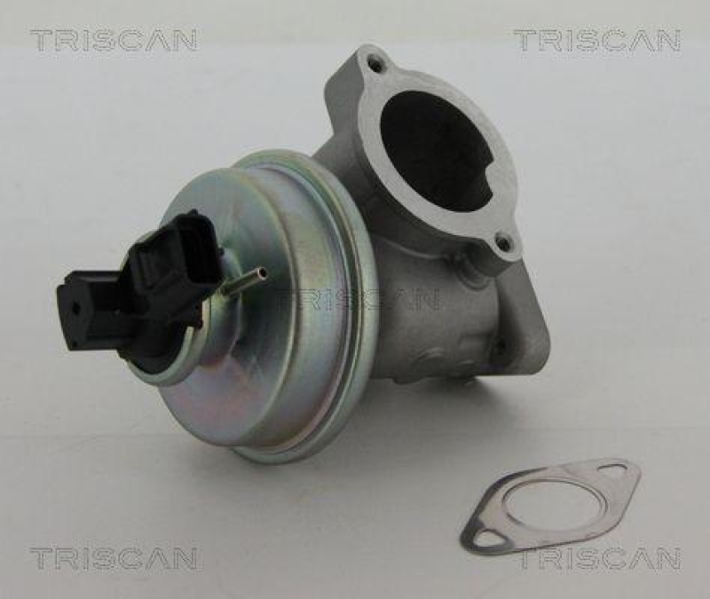 TRISCAN 8813 16012 Agr Ventil für Ford/Volvo/Mazda