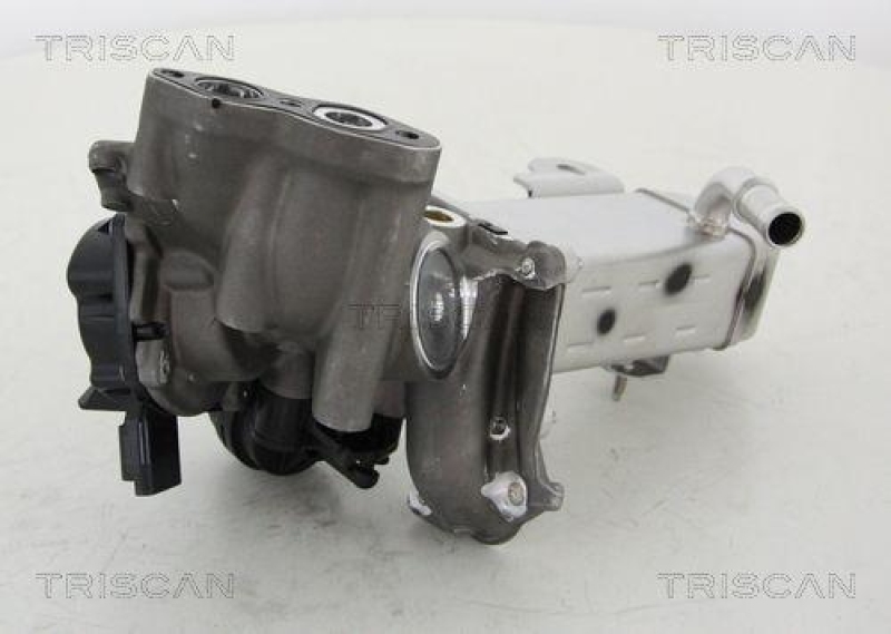 TRISCAN 8813 16014 Agr Ventil für Ford/Volvo/Mazda