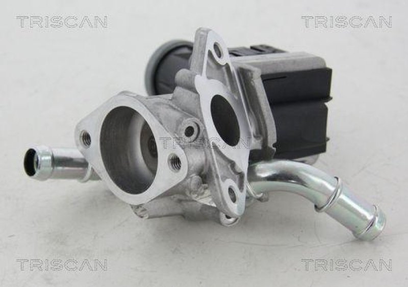 TRISCAN 8813 16036 Agr Ventil für Ford/Volvo/Mazda