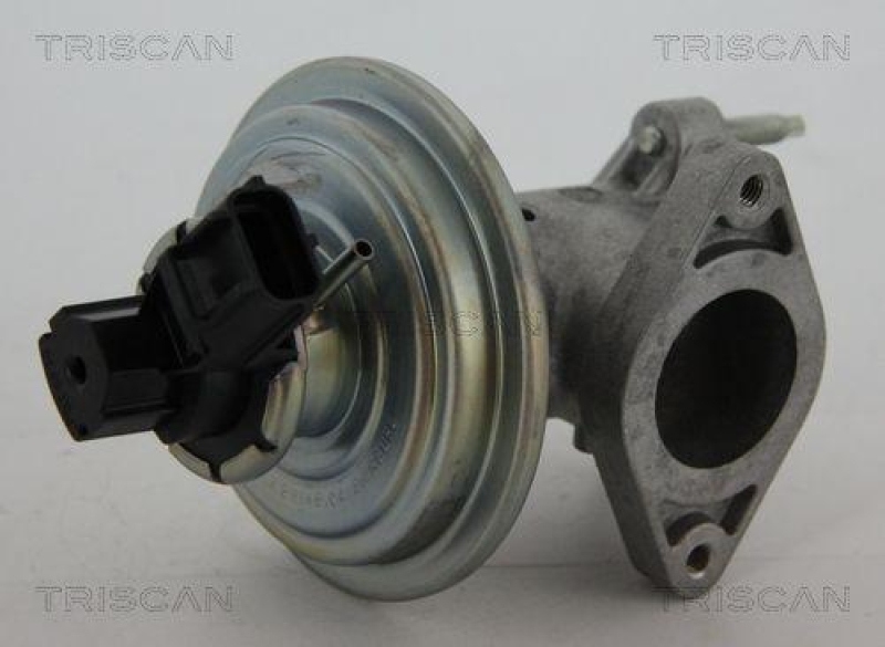 TRISCAN 8813 16043 Agr Ventil für Ford/Volvo/Mazda