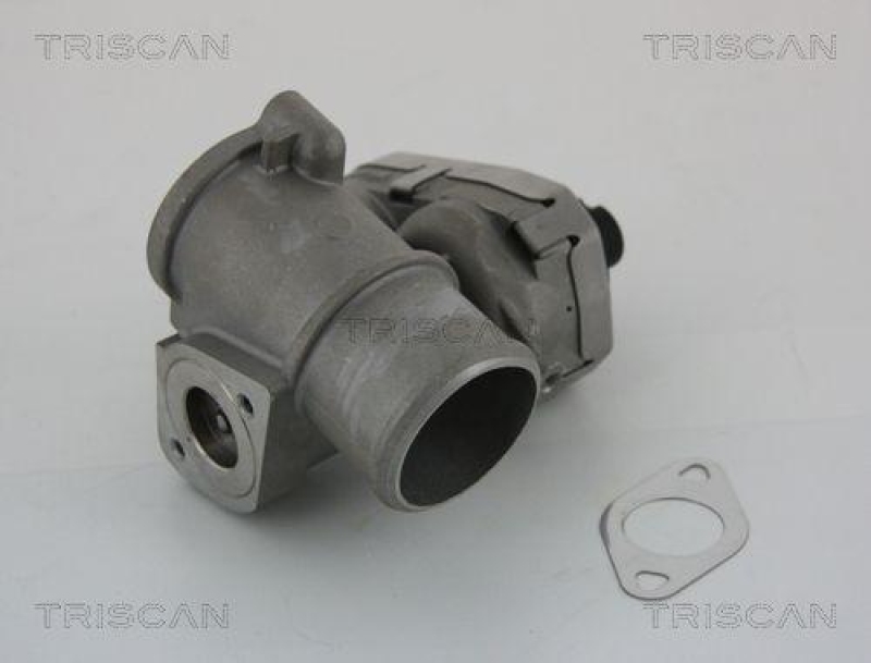 TRISCAN 8813 16101 Agr Ventil für Ford