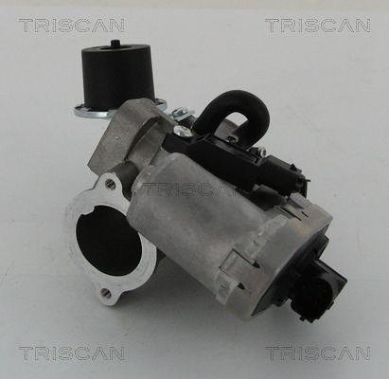 TRISCAN 8813 16202 Agr Ventil für Ford