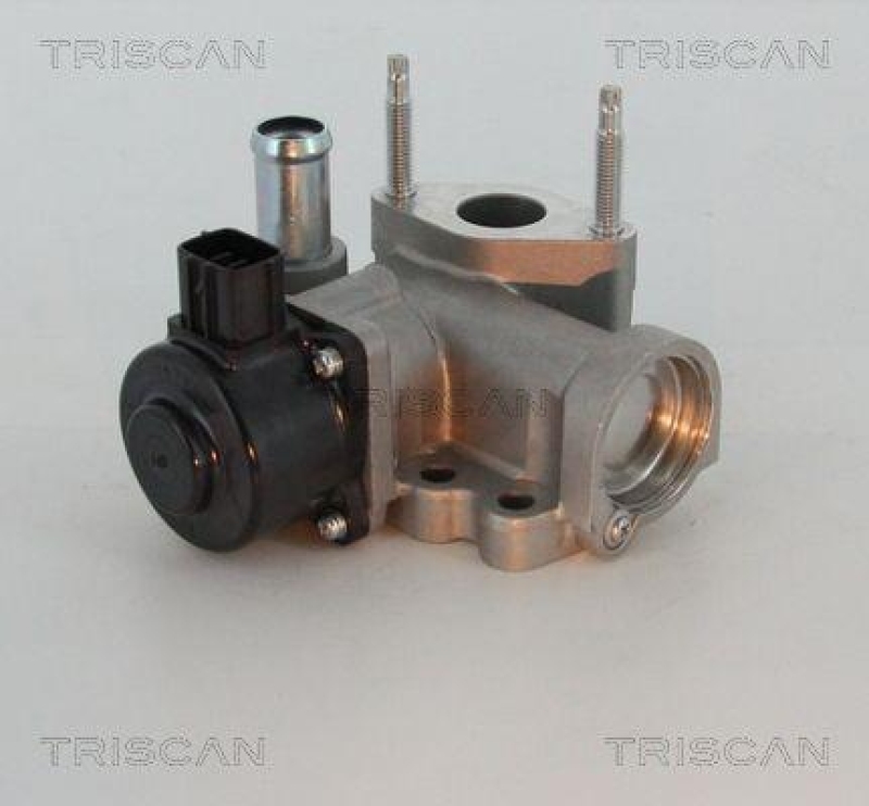 TRISCAN 8813 16203 Agr Ventil für Ford