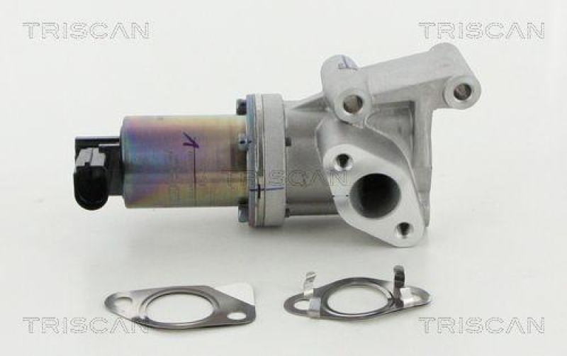 TRISCAN 8813 18038 Agr Ventil für Hyundai/Kia