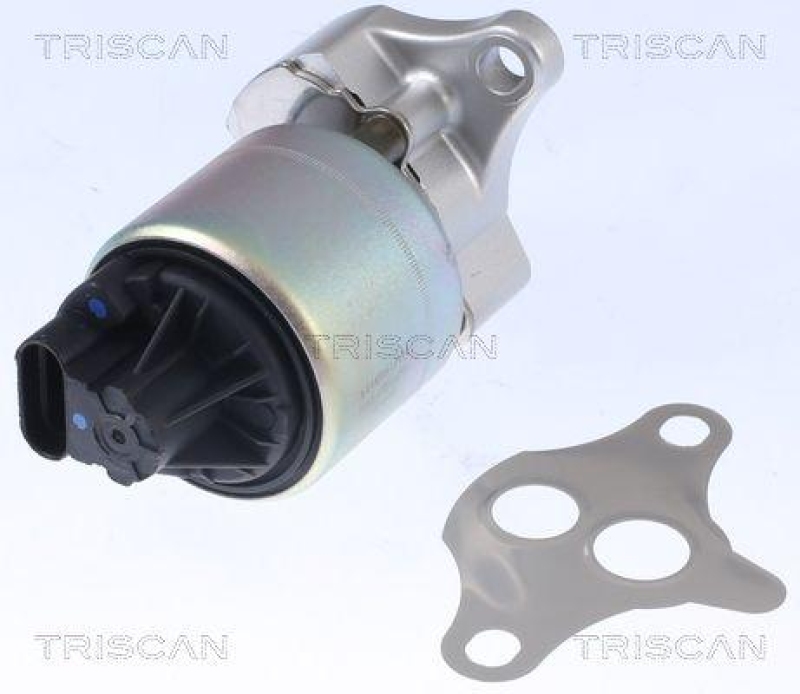 TRISCAN 8813 21001 Agr Ventil für Chevrolet(Gm)