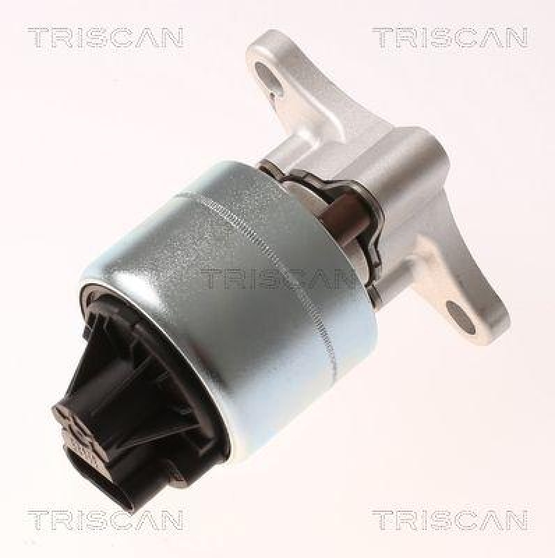 TRISCAN 8813 21026 Agr Ventil für Daewoo