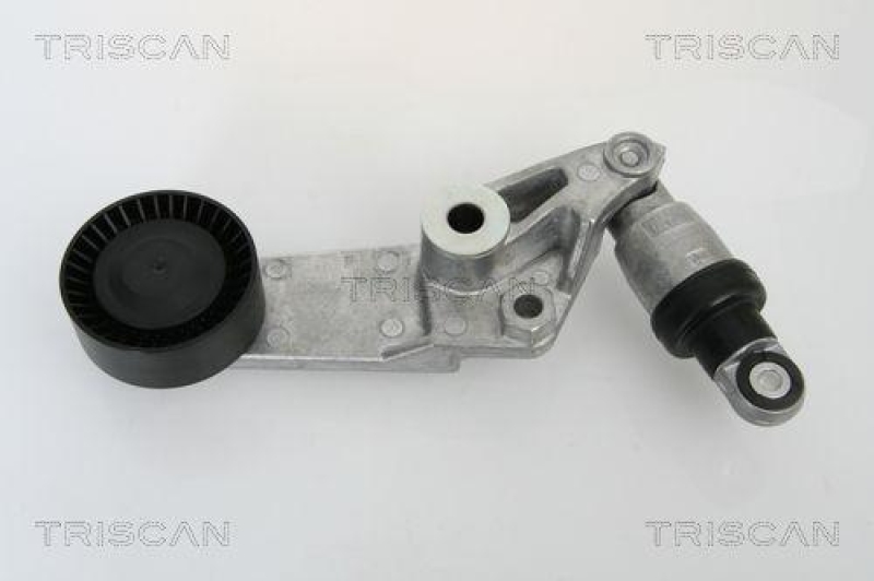 TRISCAN 8641 133002 Riemenspanneinheit für Toyota