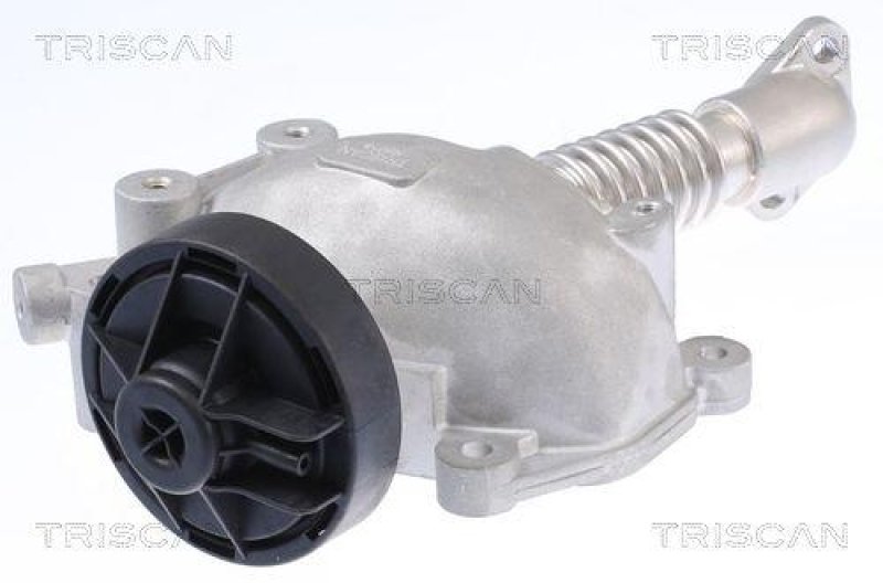 TRISCAN 8813 23024 Agr Ventil für Mercedes