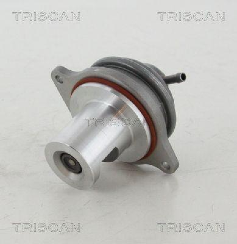 TRISCAN 8813 23207 Agr Ventil für Mercedes