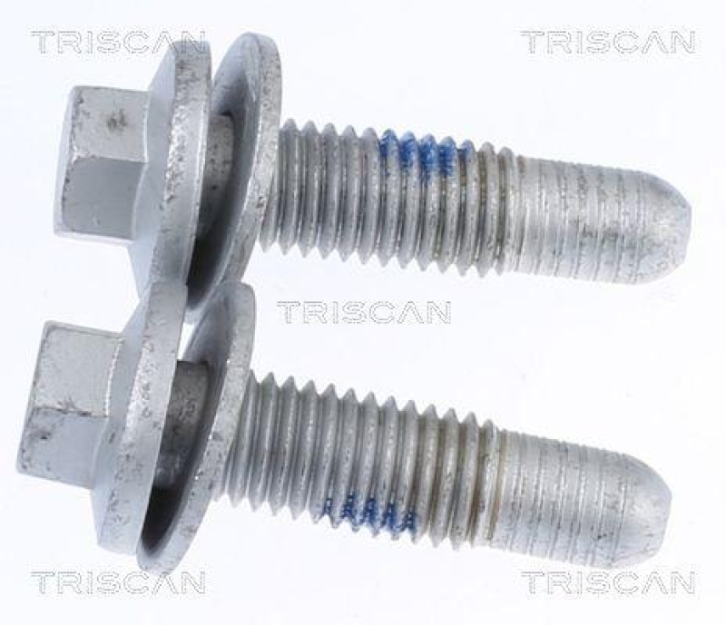 TRISCAN 8500 10861 Bolzensats