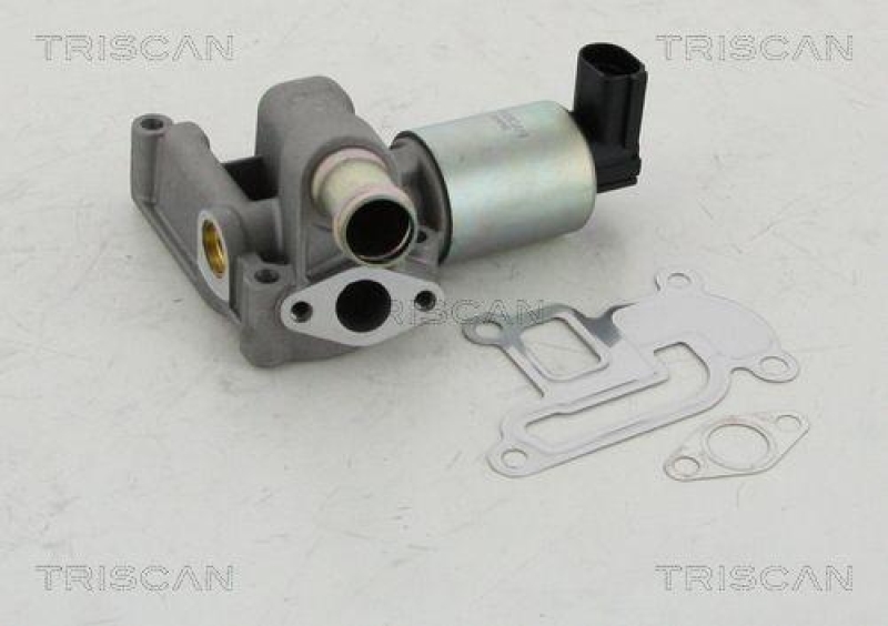 TRISCAN 8813 24003 Agr Ventil für Opel/Fiat/Gm