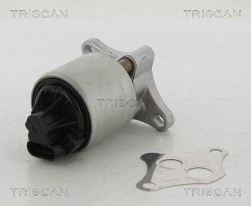 TRISCAN 8813 24004 Agr Ventil für Opel/Saab