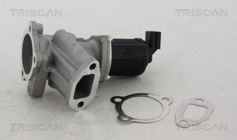 TRISCAN 8813 24012 Agr Ventil für Opel/Fiat/Gm