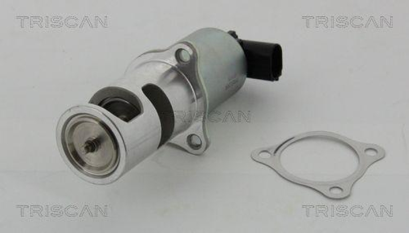 TRISCAN 8813 24037 Agr Ventil für Opel/Nissan