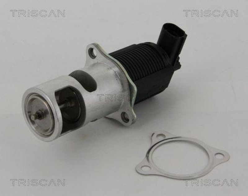 TRISCAN 8813 25005 Agr Ventil für Renault/Dacia