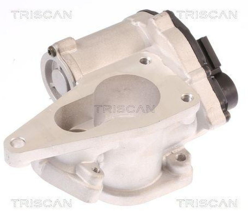 TRISCAN 8813 25012 Agr Ventil für Renault/Dacia