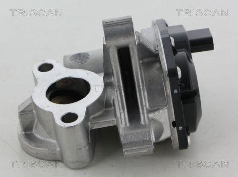 TRISCAN 8813 25041 Agr Ventil für Renault