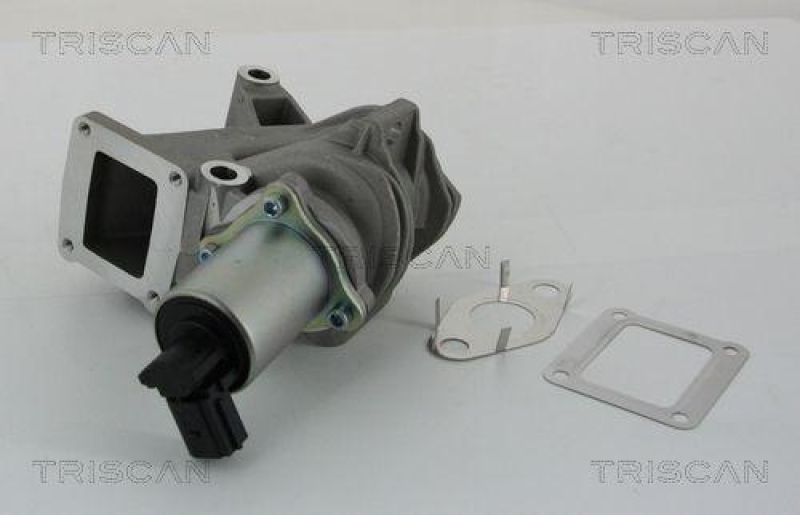 TRISCAN 8813 25100 Agr Ventil für Renault