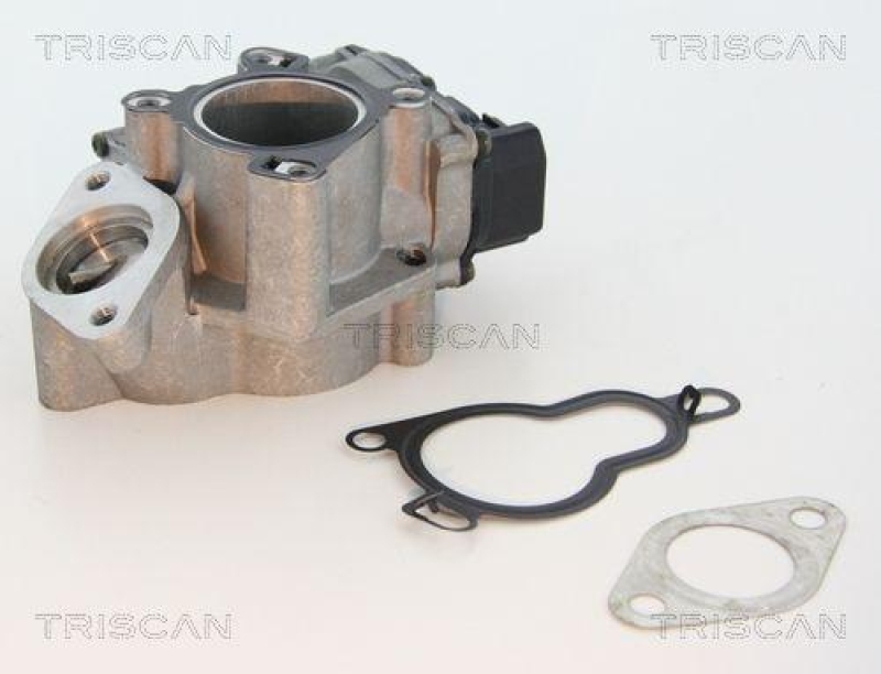 TRISCAN 8813 25203 Agr Ventil für Fiat