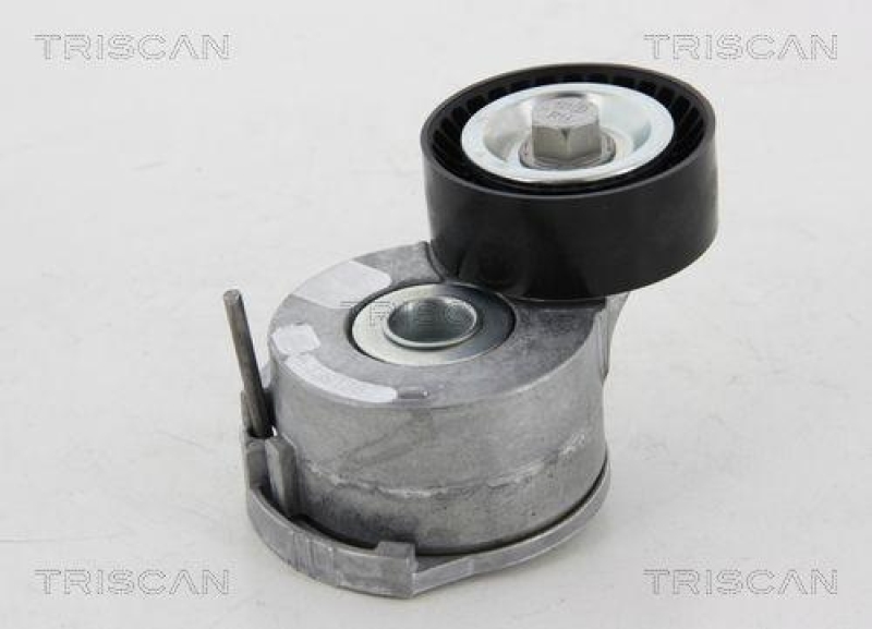 TRISCAN 8641 161014 Spannrolle für Ford