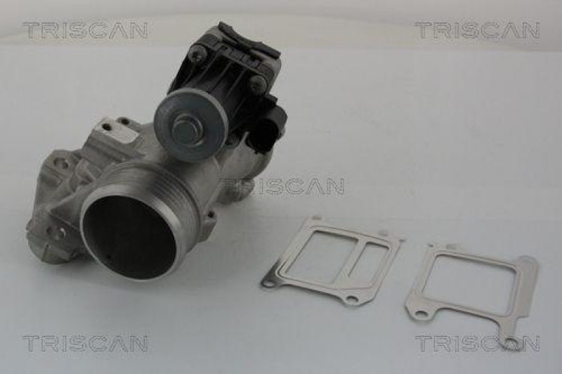 TRISCAN 8813 27102 Agr Ventil für Volvo