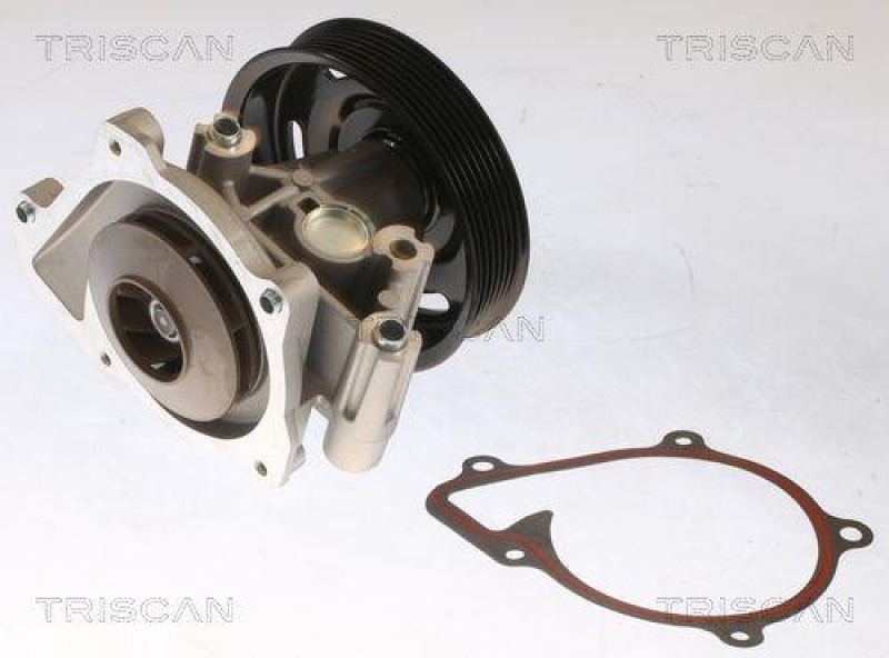 TRISCAN 8600 16073 Wasserpumpe für Ford