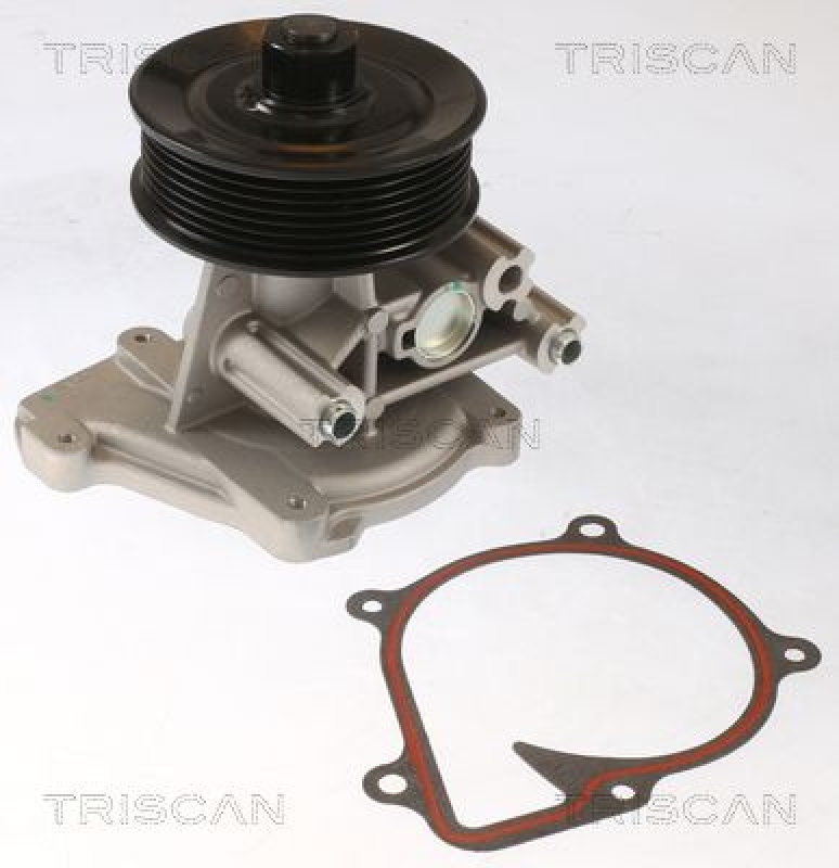 TRISCAN 8600 16074 Wasserpumpe für Ford