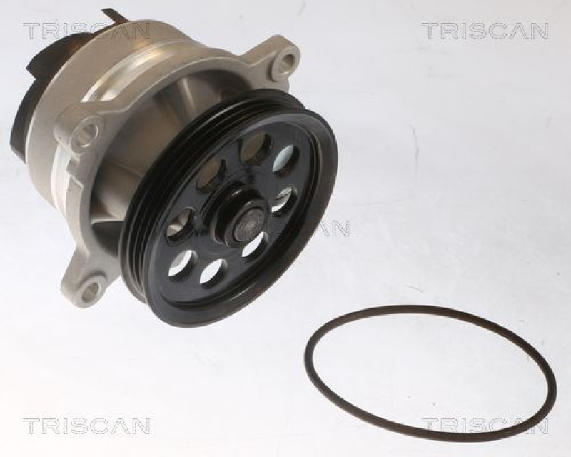 TRISCAN 8600 16076 Wasserpumpe für Ford