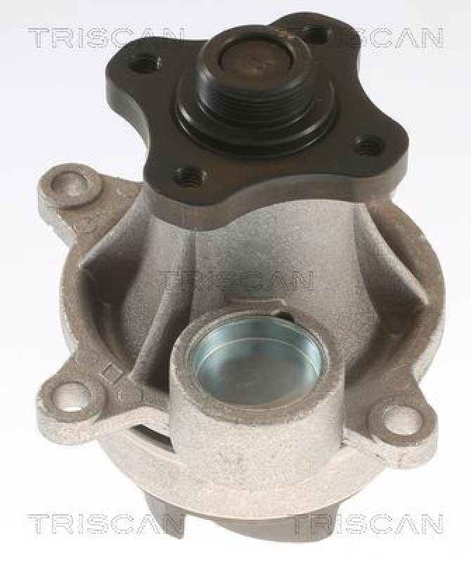 TRISCAN 8600 16078 Wasserpumpe für Ford