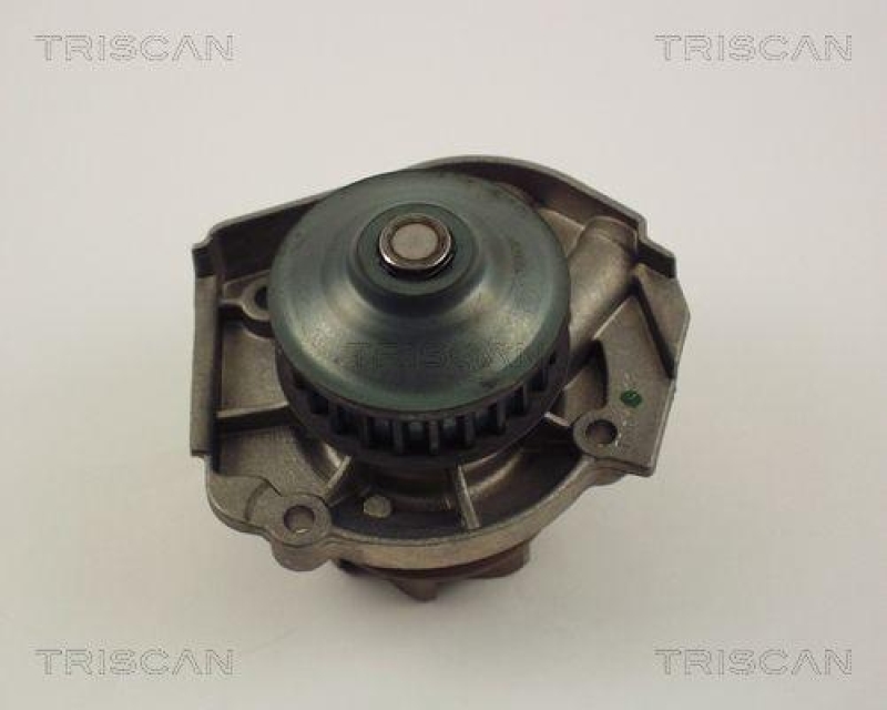 TRISCAN 8600 15029 Wasserpumpe, - Silikon Dichtung für Fiat Punto, Palio, Doblo 1