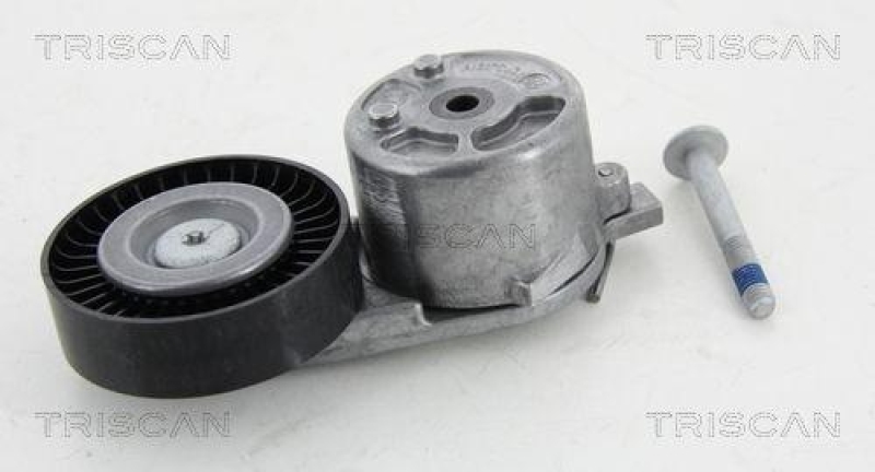 TRISCAN 8641 163019 Riemenspanneinheit für Ford