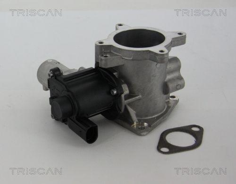 TRISCAN 8813 29105 Agr Ventil für Vw