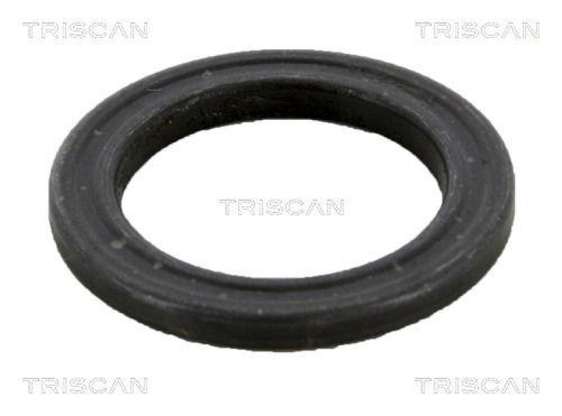 TRISCAN 8500 10905 Lager, Federbein für Citroen, Fiat, Peugeot