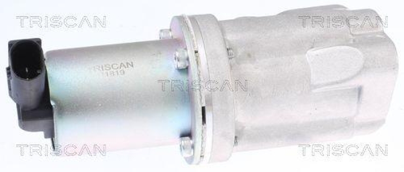 TRISCAN 8813 43009 Agr Ventil für Hyundai/Kia