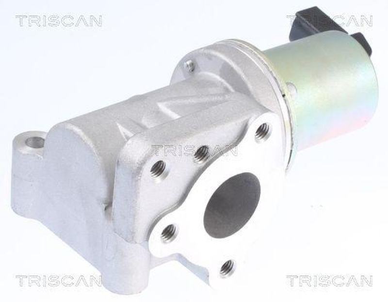 TRISCAN 8813 43015 Agr Ventil für Hyundai/Kia