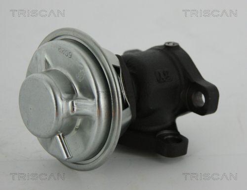 TRISCAN 8813 43022 Agr Ventil für Ssangyong