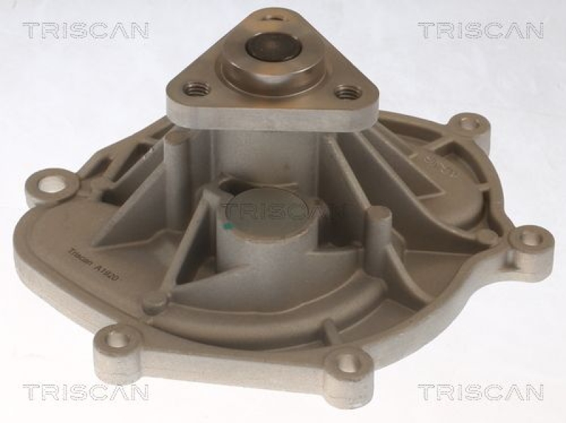 TRISCAN 8600 20006 Wasserpumpe für Porsche